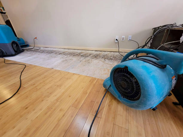 Professional Water Removal technician working in Bellingham, WA